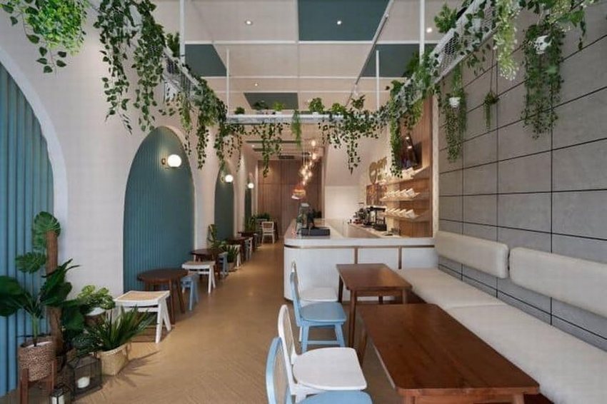 Cửa hàng bánh ngọt có thiết kế xanh mát với cây cảnh treo trên trần.  Trần nhà được bố trí giàn cây leo tạo không gian gần gũi thiên nhiên. 