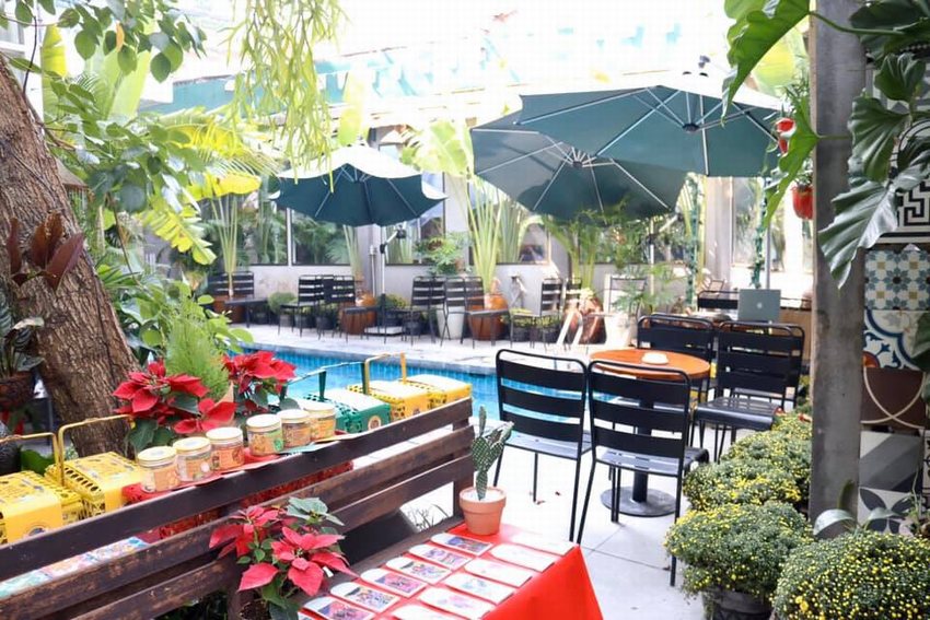 Thiết kế quán cafe sân vườn với hồ nước mát, bàn ghế ngoài trời và ô che xanh, tạo không gian thư giãn thoáng đãng. Cây xanh, hoa cảnh và tiểu cảnh trang trí mang đến cảm giác gần gũi, dễ chịu cho khách hàng.